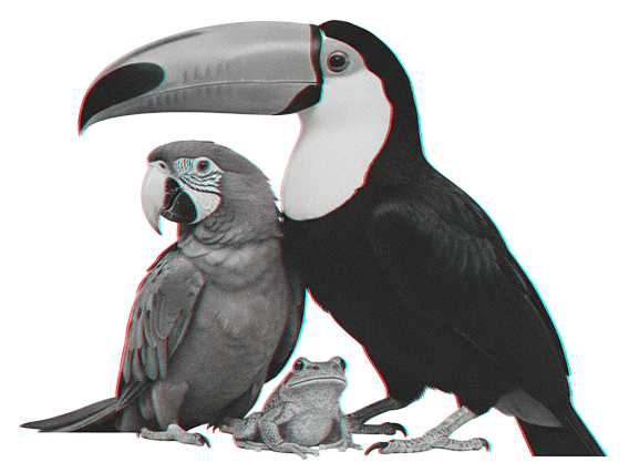 Central and South America